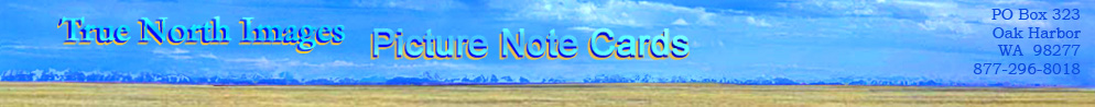True North Images Picture Note Cards banner